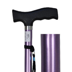 canne-alu-violet-aq032